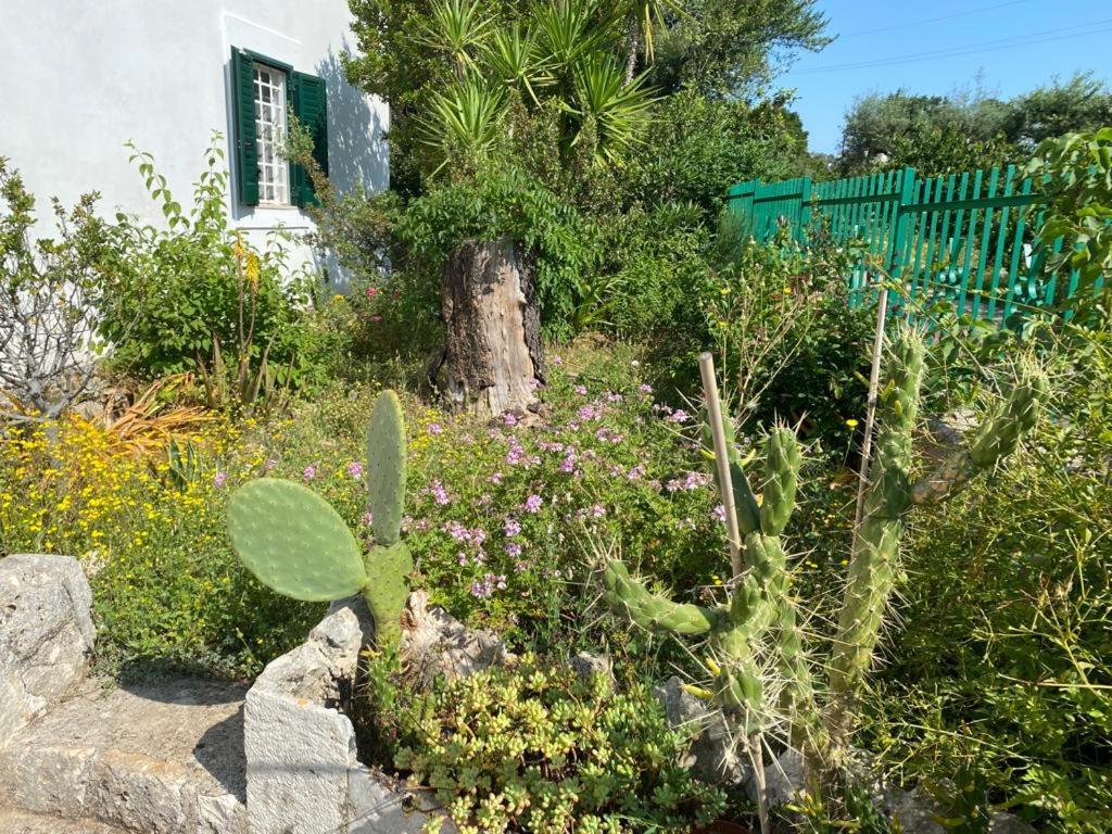Casa Gianre Guest House Монополи Екстериор снимка
